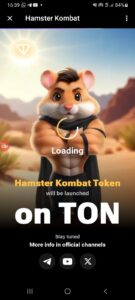 Hamster kombat